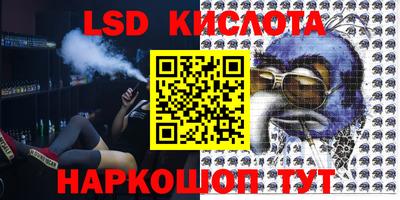 индика Ефремов