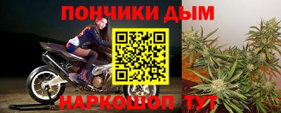 индика Ефремов
