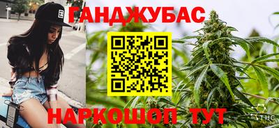 индика Ефремов