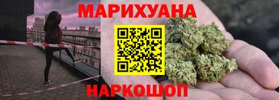 индика Ефремов