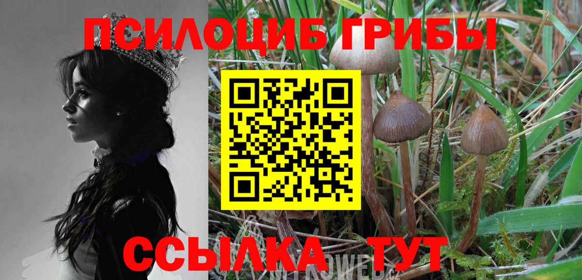 купить наркотик  Галлюциногенные грибы MAGIC MUSHROOMS  Галлюциногенные грибы мухоморы  Вход с VPN  Благодарный 