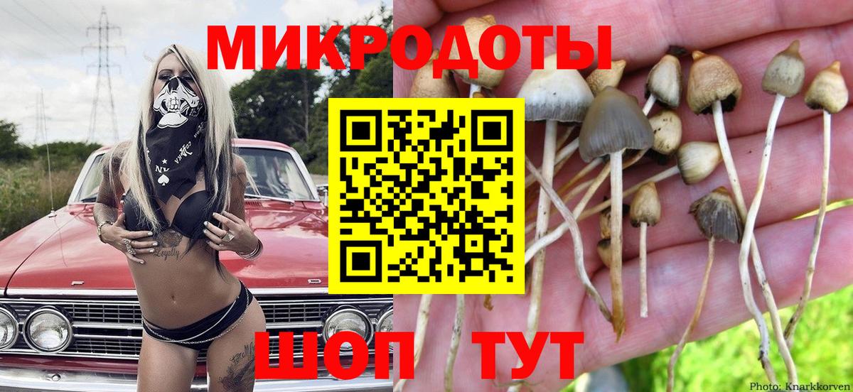 Галлюциногенные грибы Psilocybe Благодарный