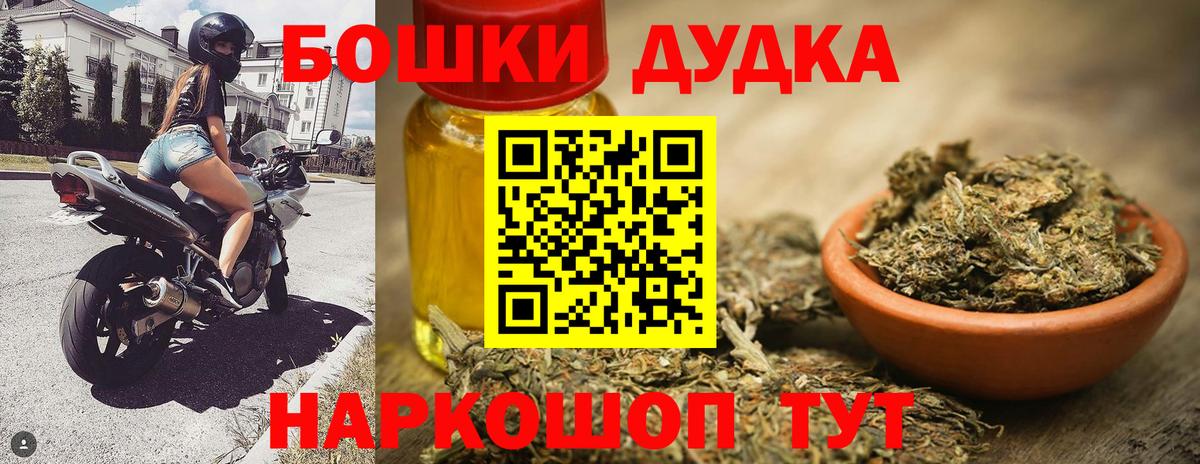 Благодарный  Бошки марихуана планчик  Марихуана планчик  Конопля семена  Вход с VPN 